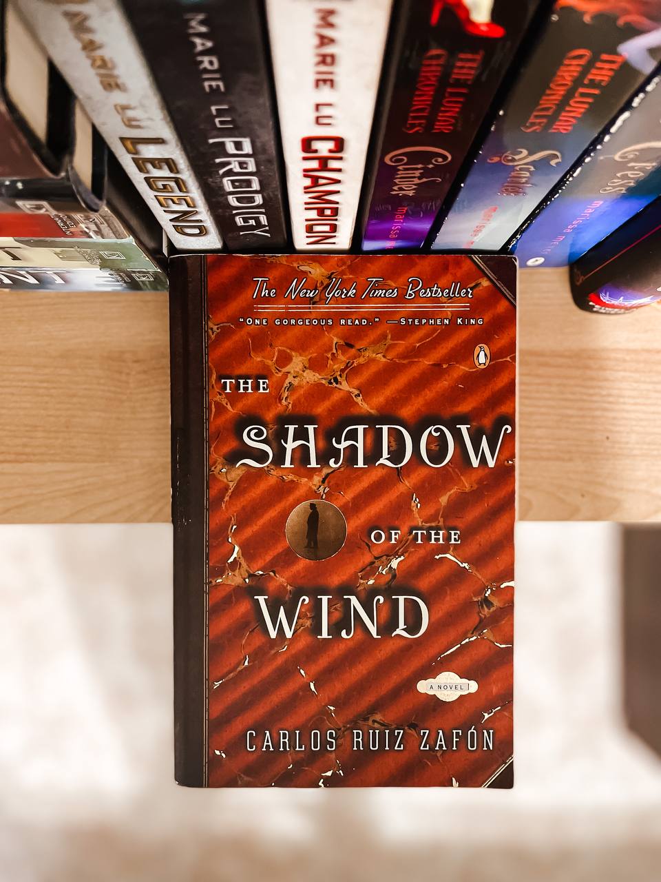 the shadow of the wind laying flat on a bookshelf